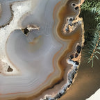 Radiant Brazilian Agate Slice