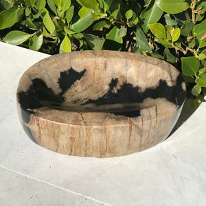 Polished Petrified Wood Bowl
