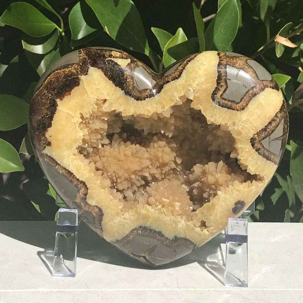 Crystal Filled Septarian Heart