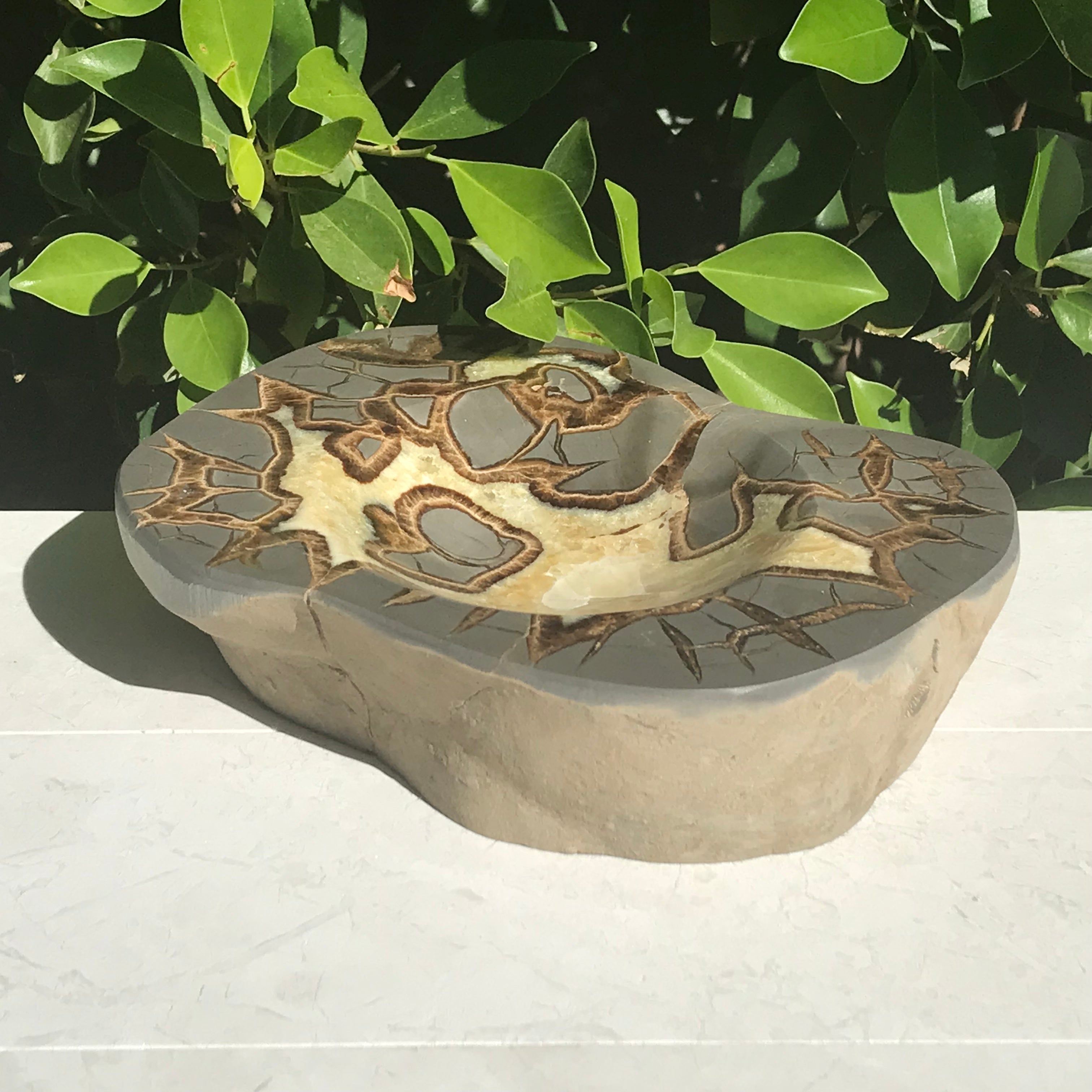 Patterned Septarian Bowl