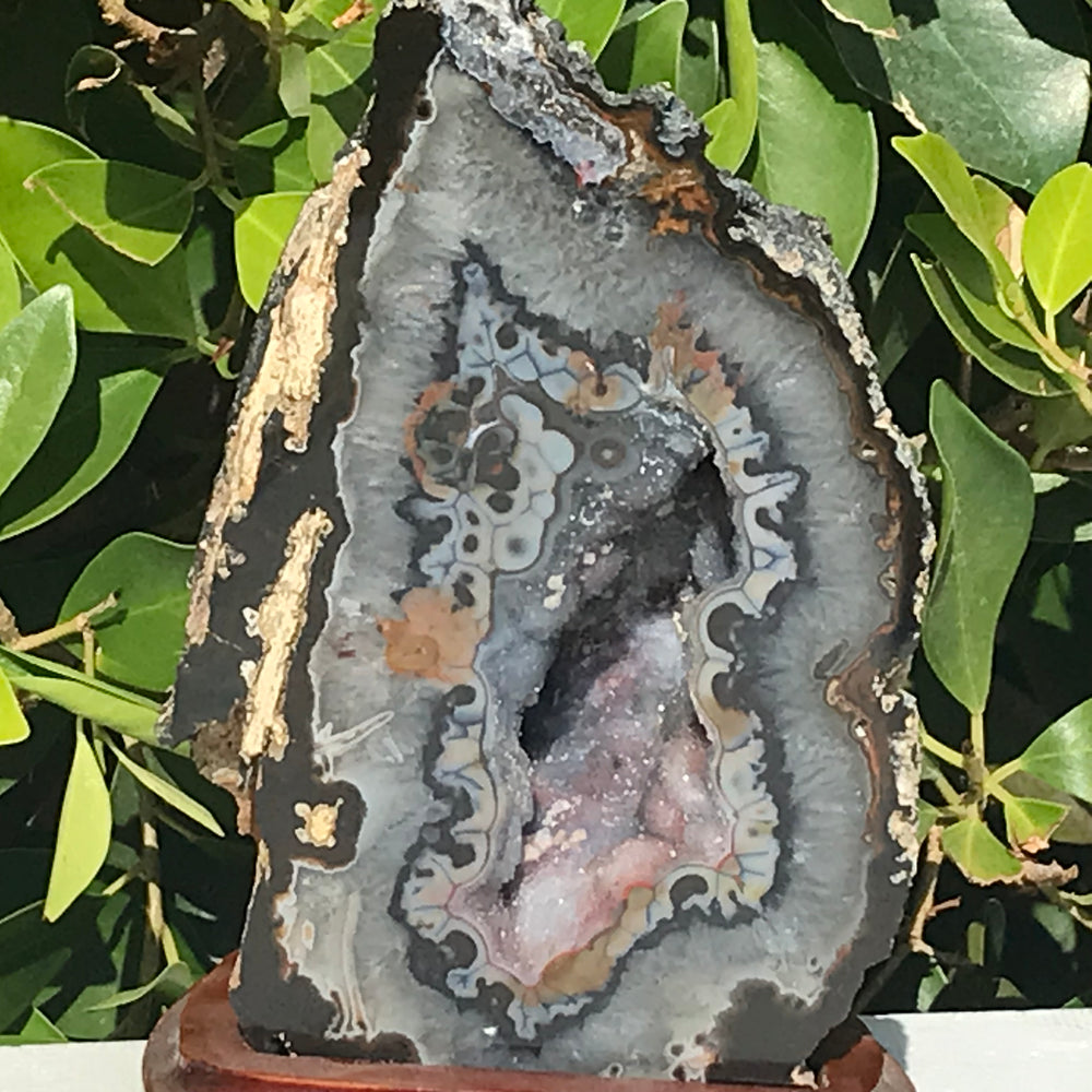 Colorful and Highly Detailed Agate Geode –