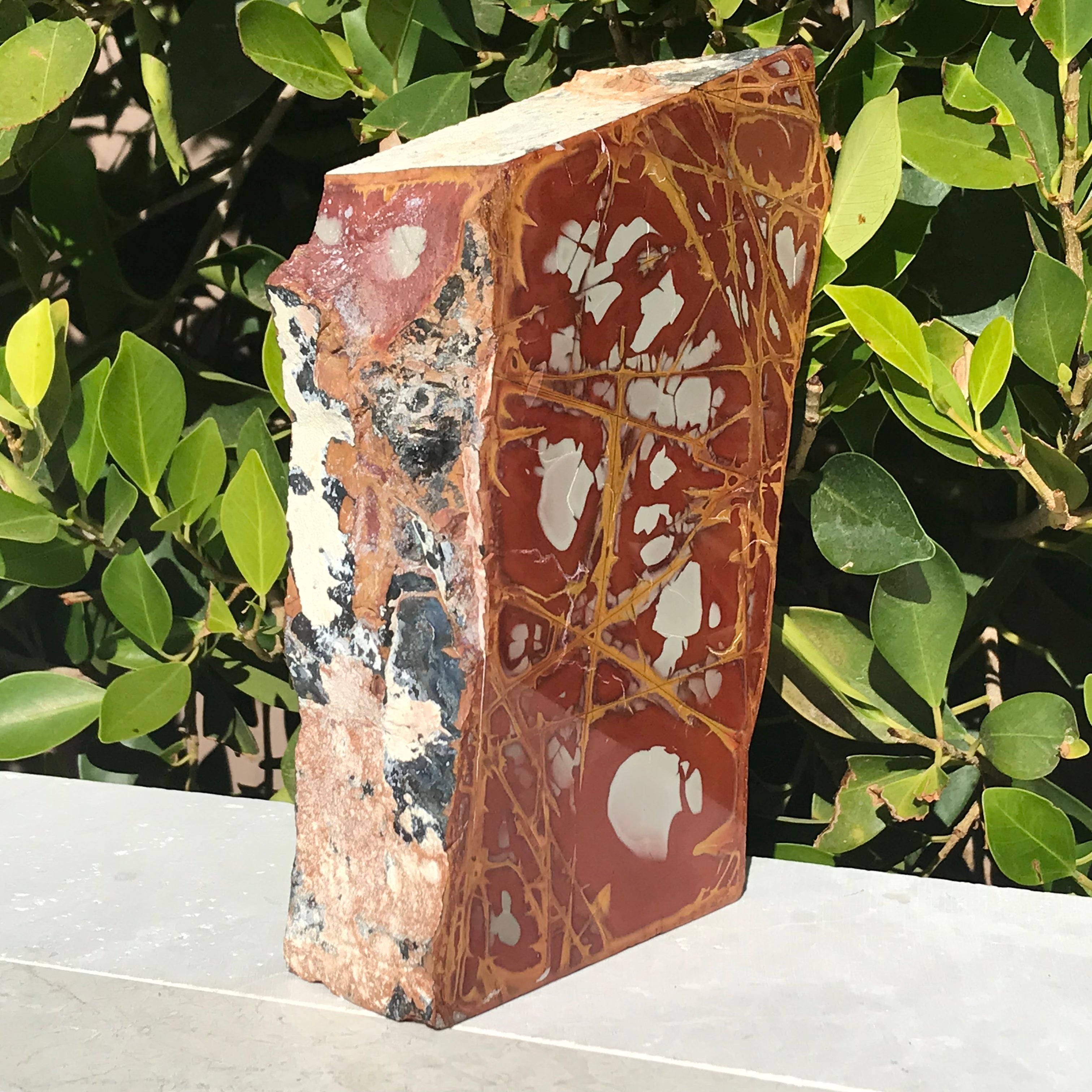 Noreena Jasper Slab