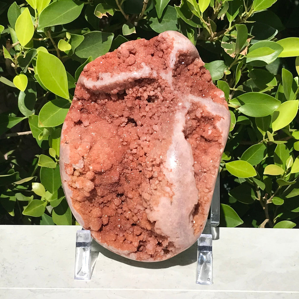 Brazilian Rose Plate