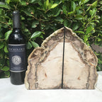 Petrified Cypress Wood Bookends