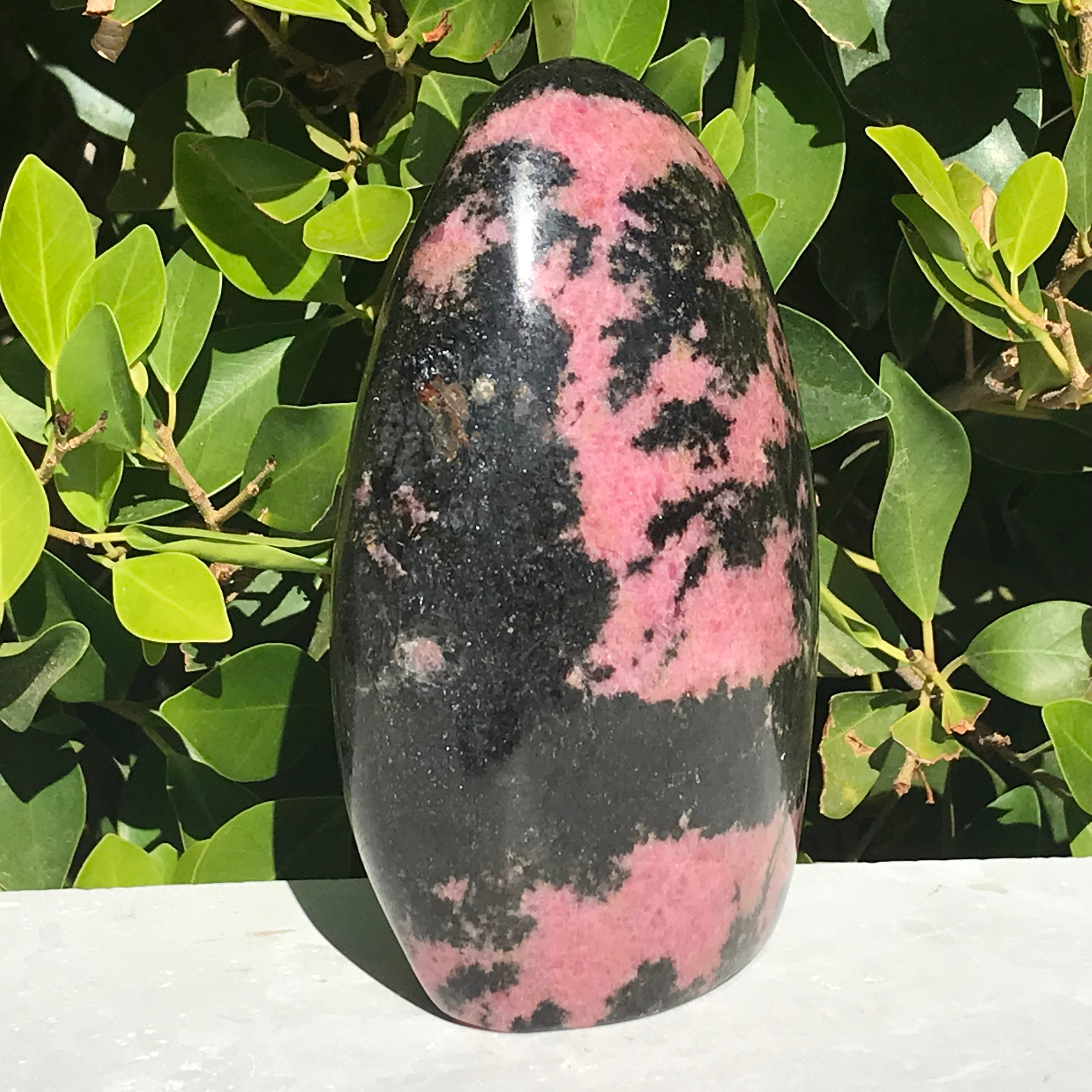 Ornate Rhodonite Nodule