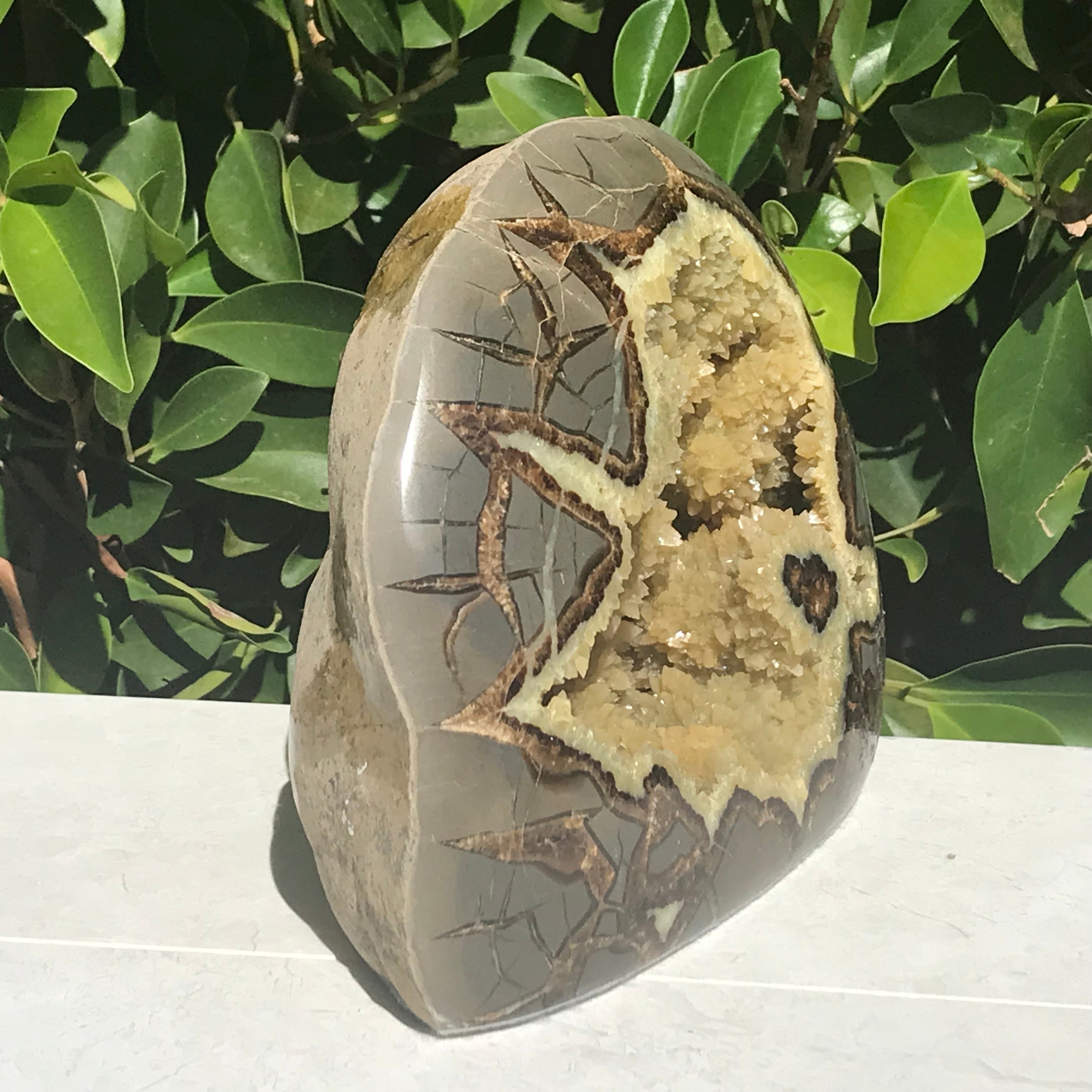 Polished Septarian Nodule