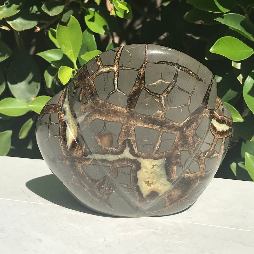 Polished Septarian Sculpture