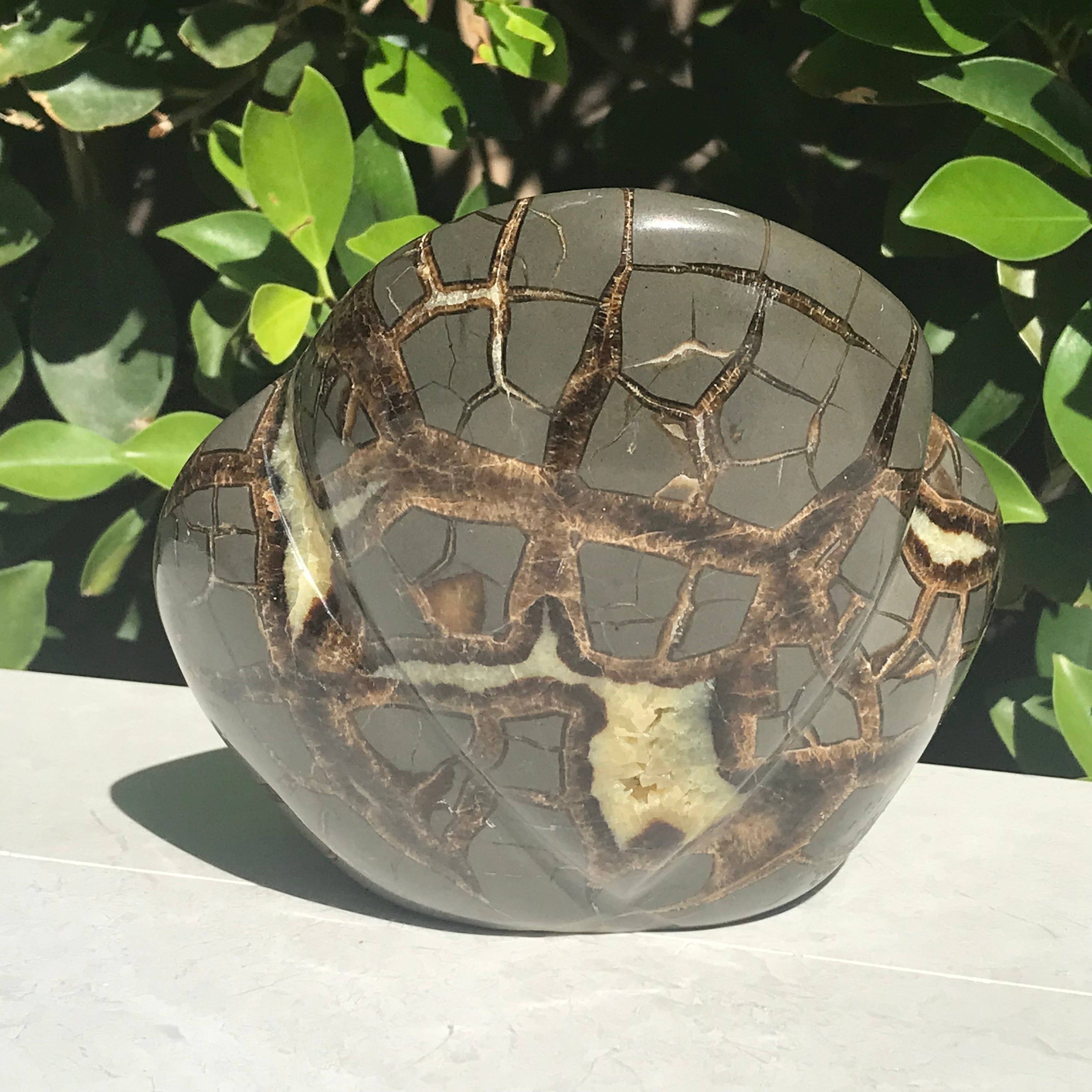 Polished Septarian Sculpture