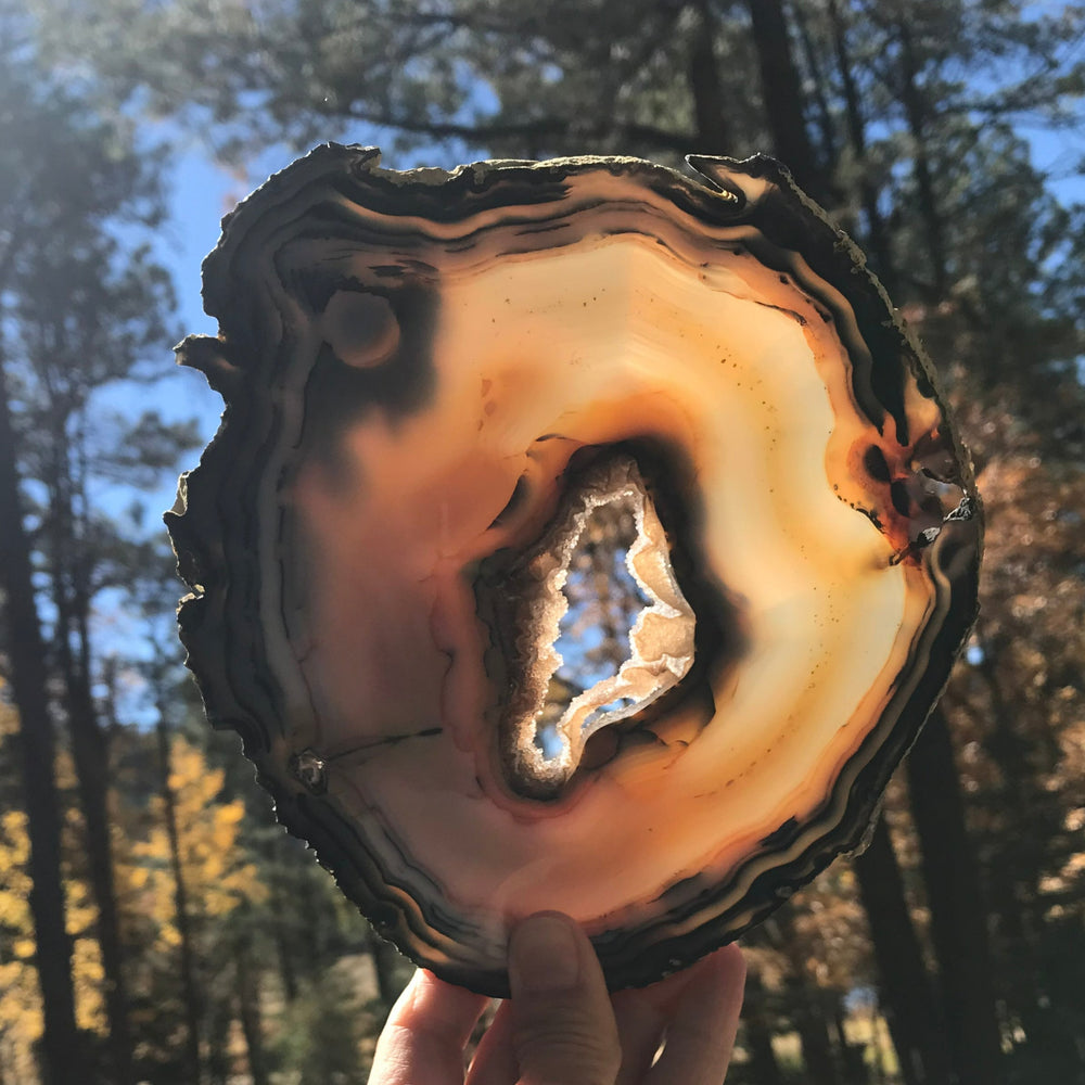 Second of Twins Agate Slice