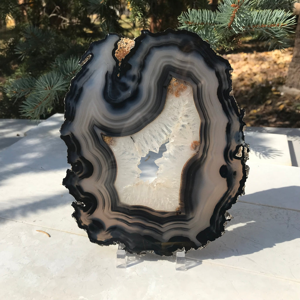 Bold Banded Agate Slice