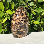 Black Opal Freeform