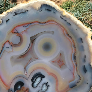 Stunningly Beautiful Agate Slice