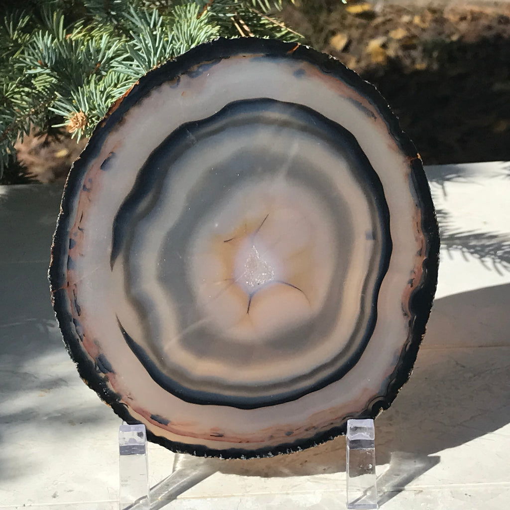Banding and Bubbles Agate Slice