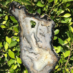 Waves of Agate Slice