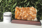 Brazilian Citrine Cluster