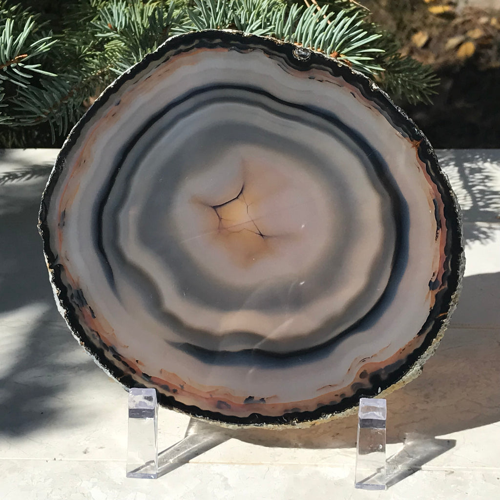 Banding and Bubbles Agate Slice