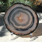 Banding and Bubbles Agate Slice