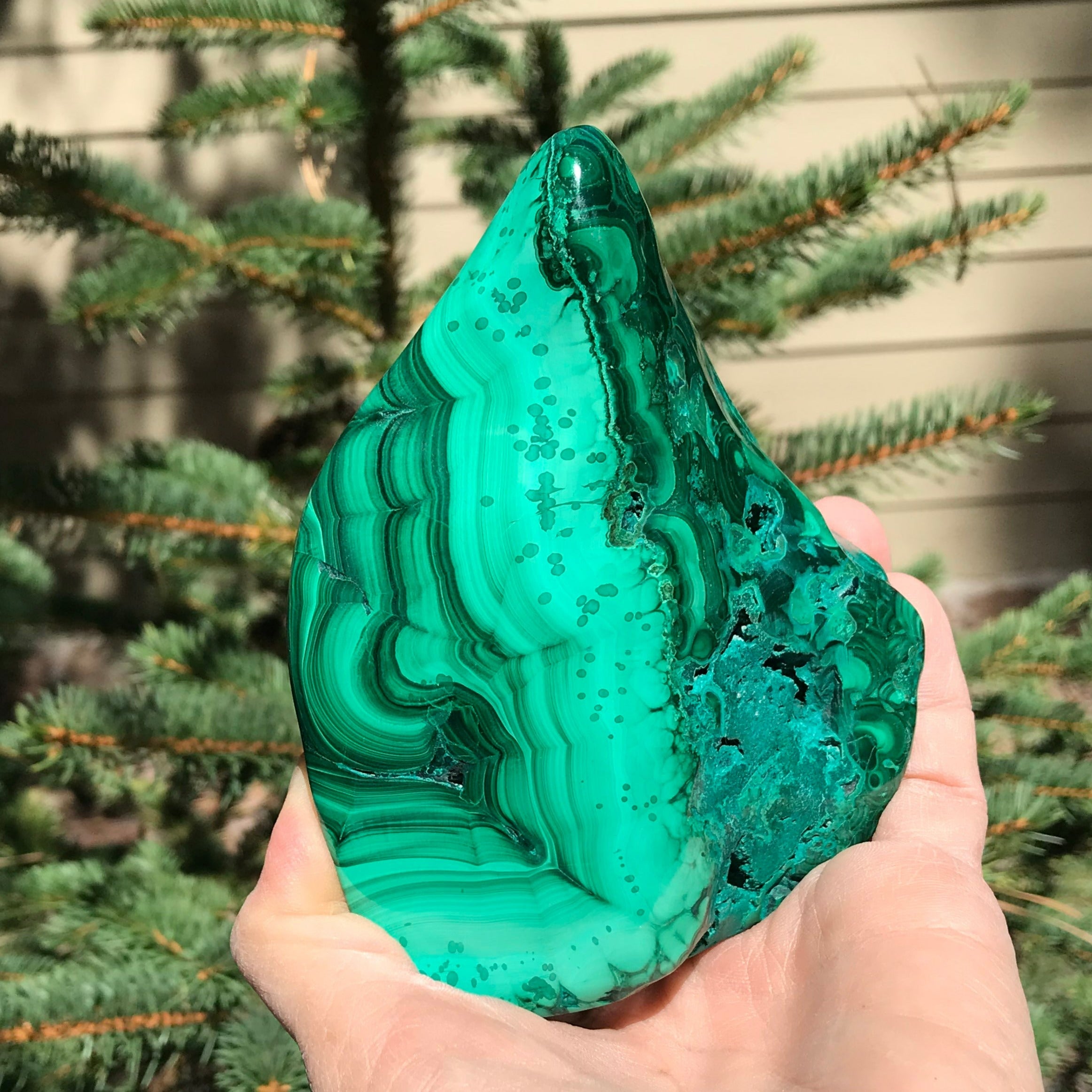 Polished Malachite with Chrysocolla