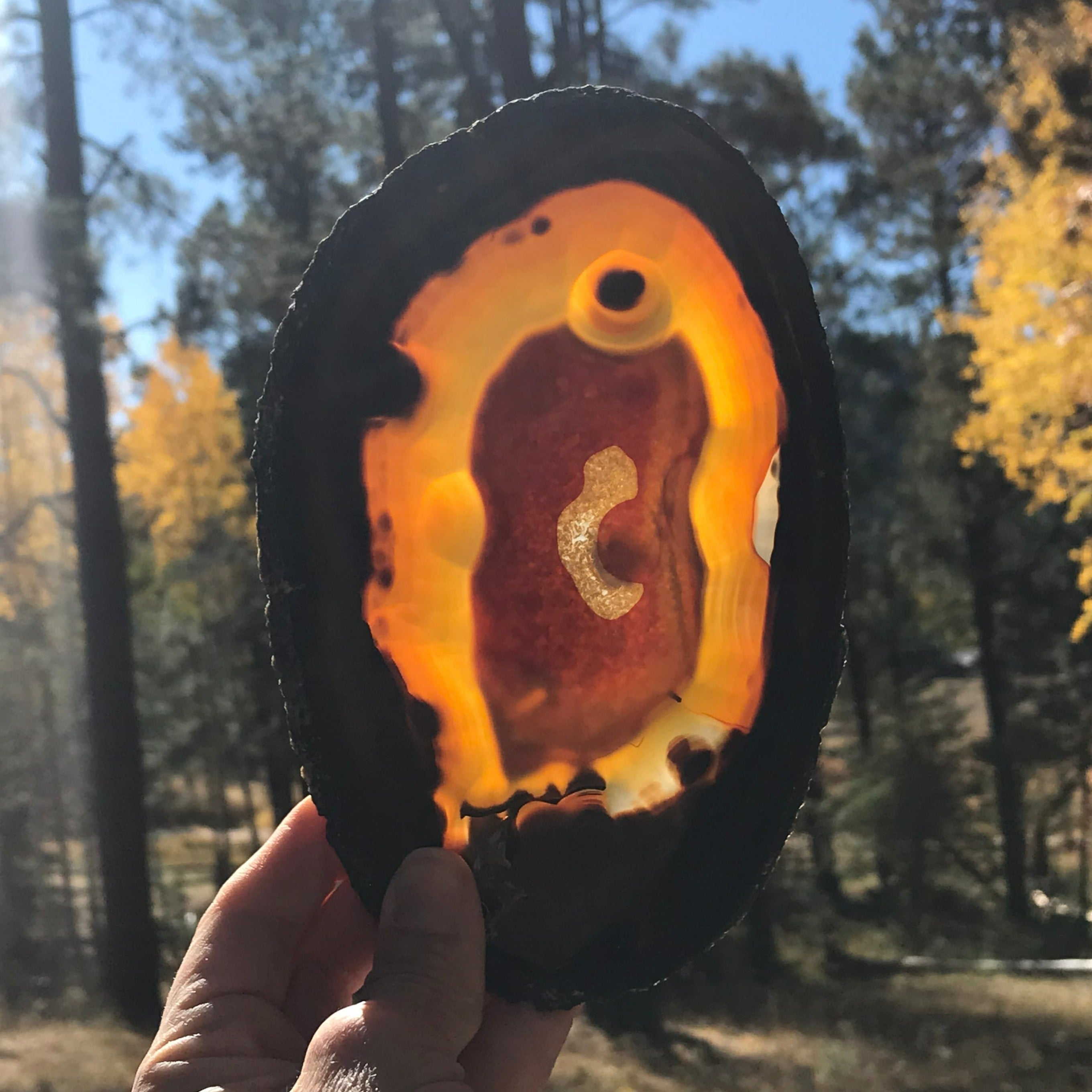 Dramatic Agate Slice