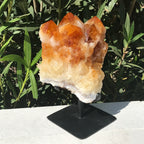 Crystal Topped Citrine