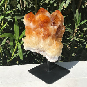 Crystal Topped Citrine