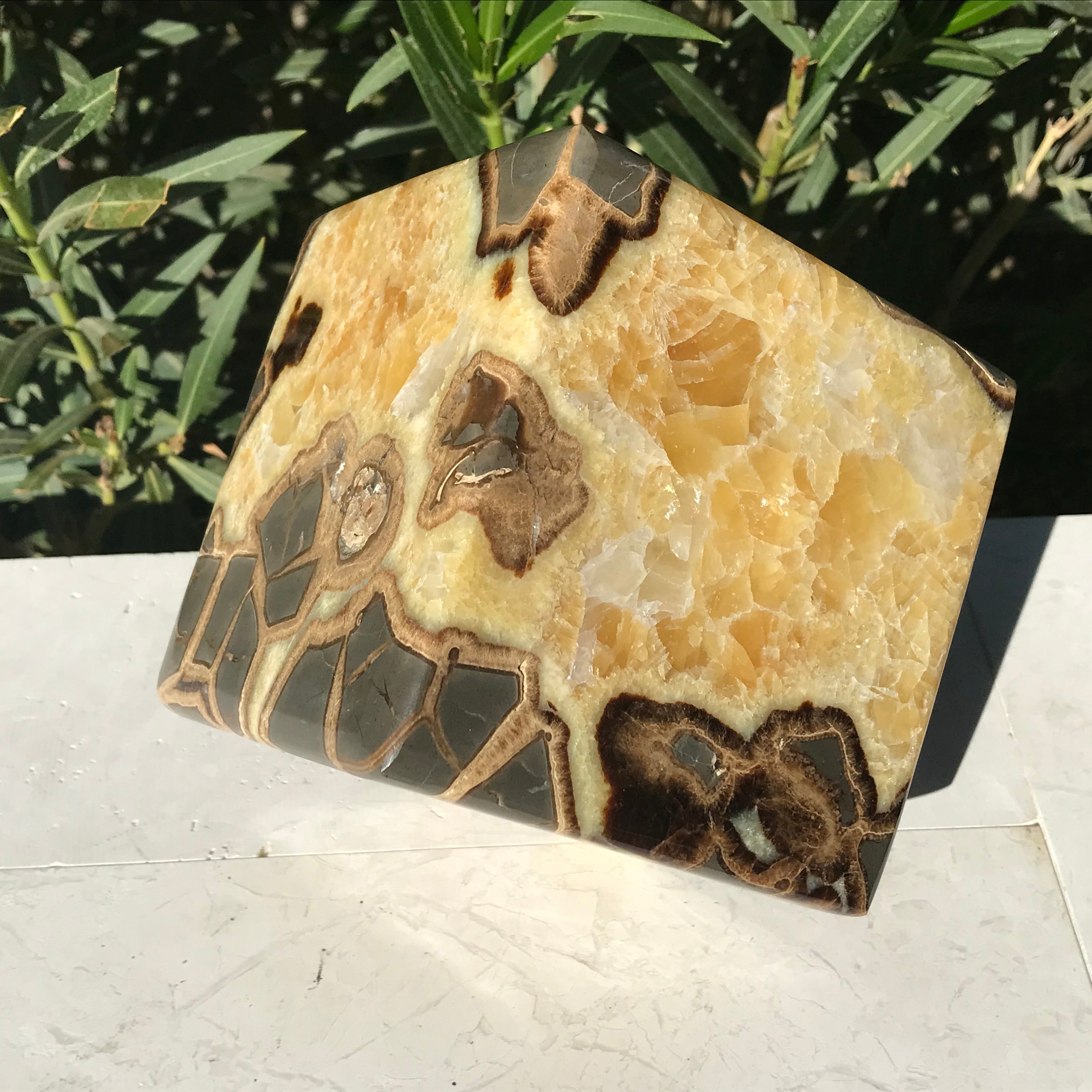 Standing Septarian Cube