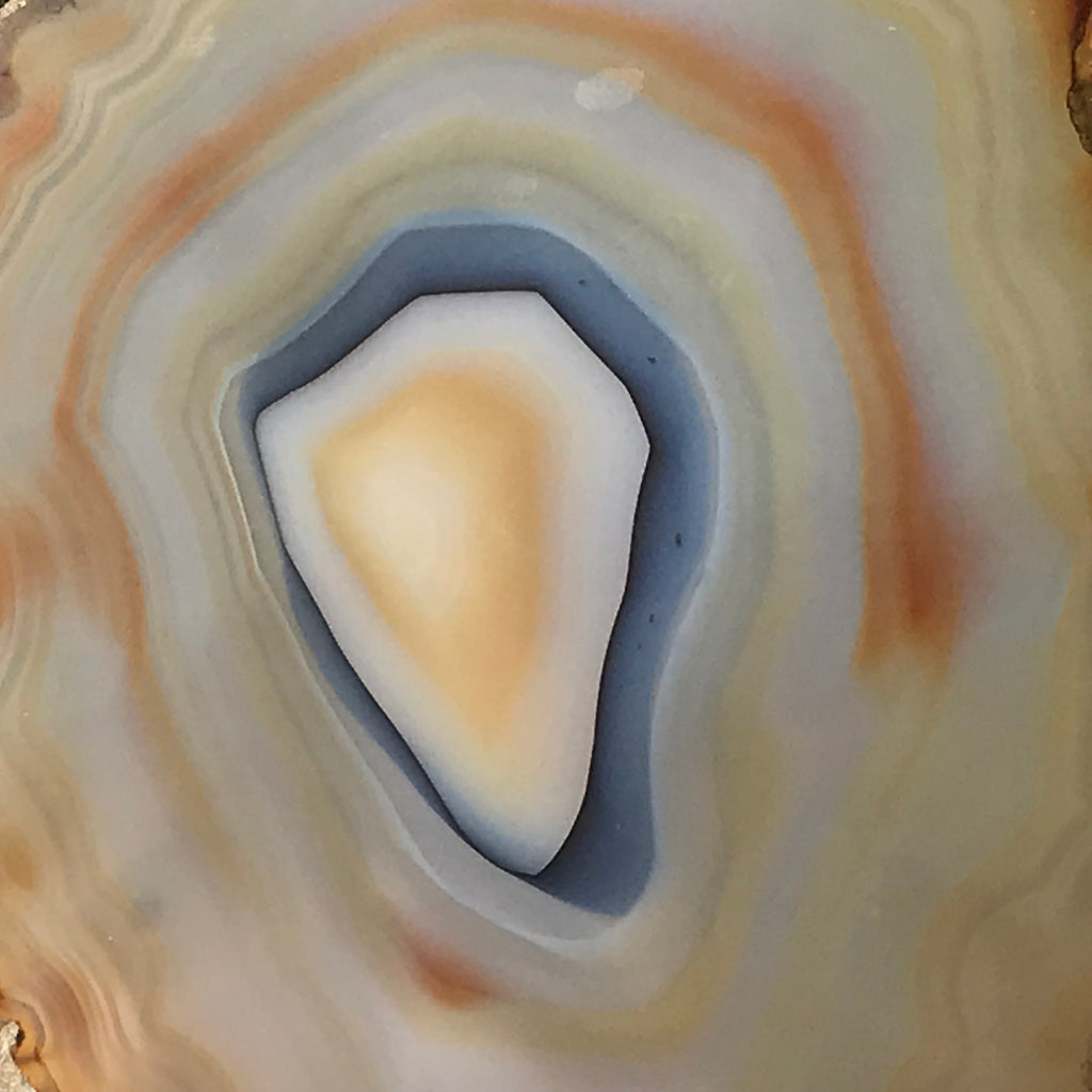 Golden Concentric Bands Agate Slice