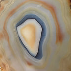 Golden Concentric Bands Agate Slice