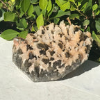 Pine Cone Quartz Cluster