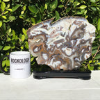 Striking Brazilian Agate Slice