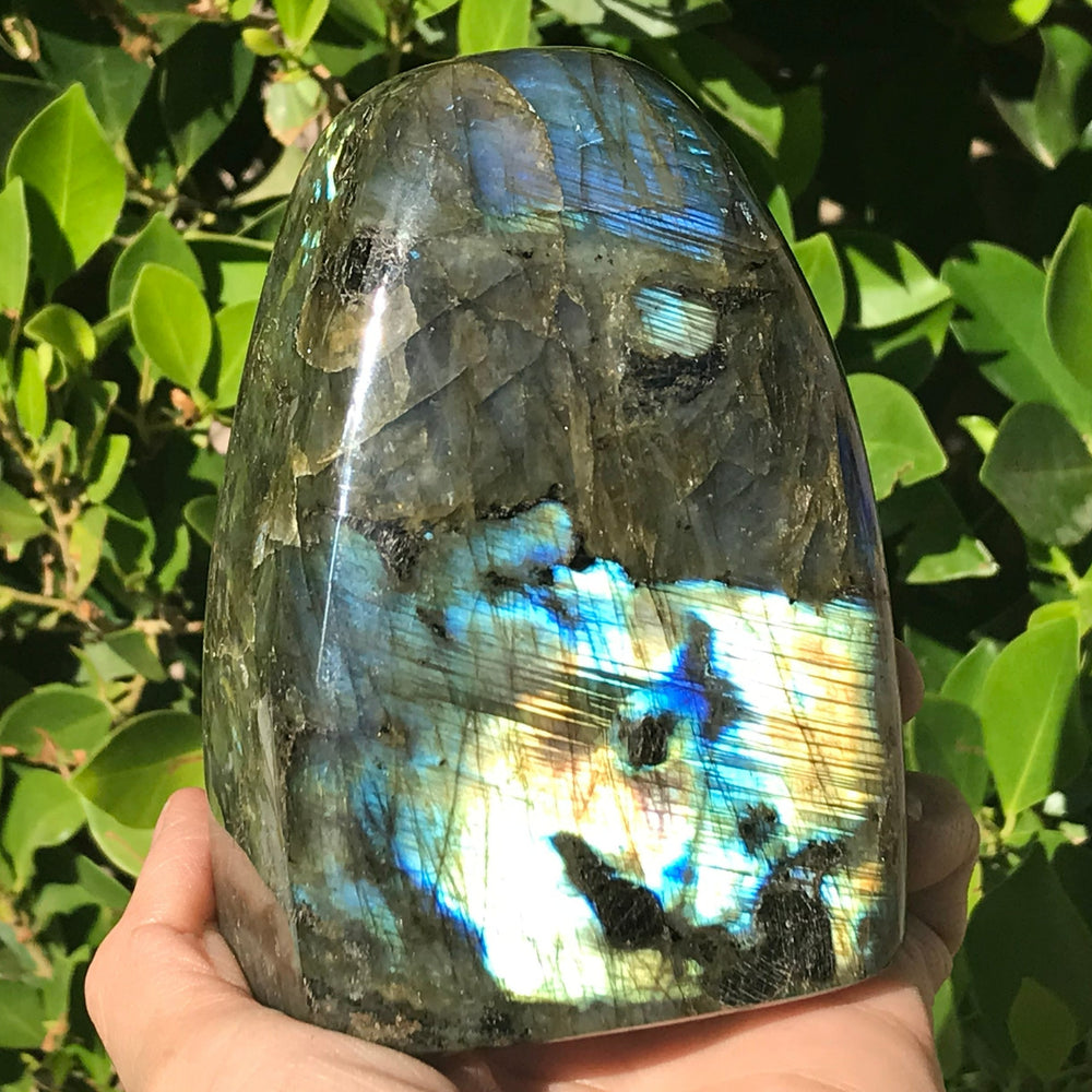 Rainbowed Labradorite Freeform