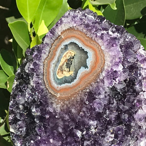 Single Eyed Amethyst Freeform