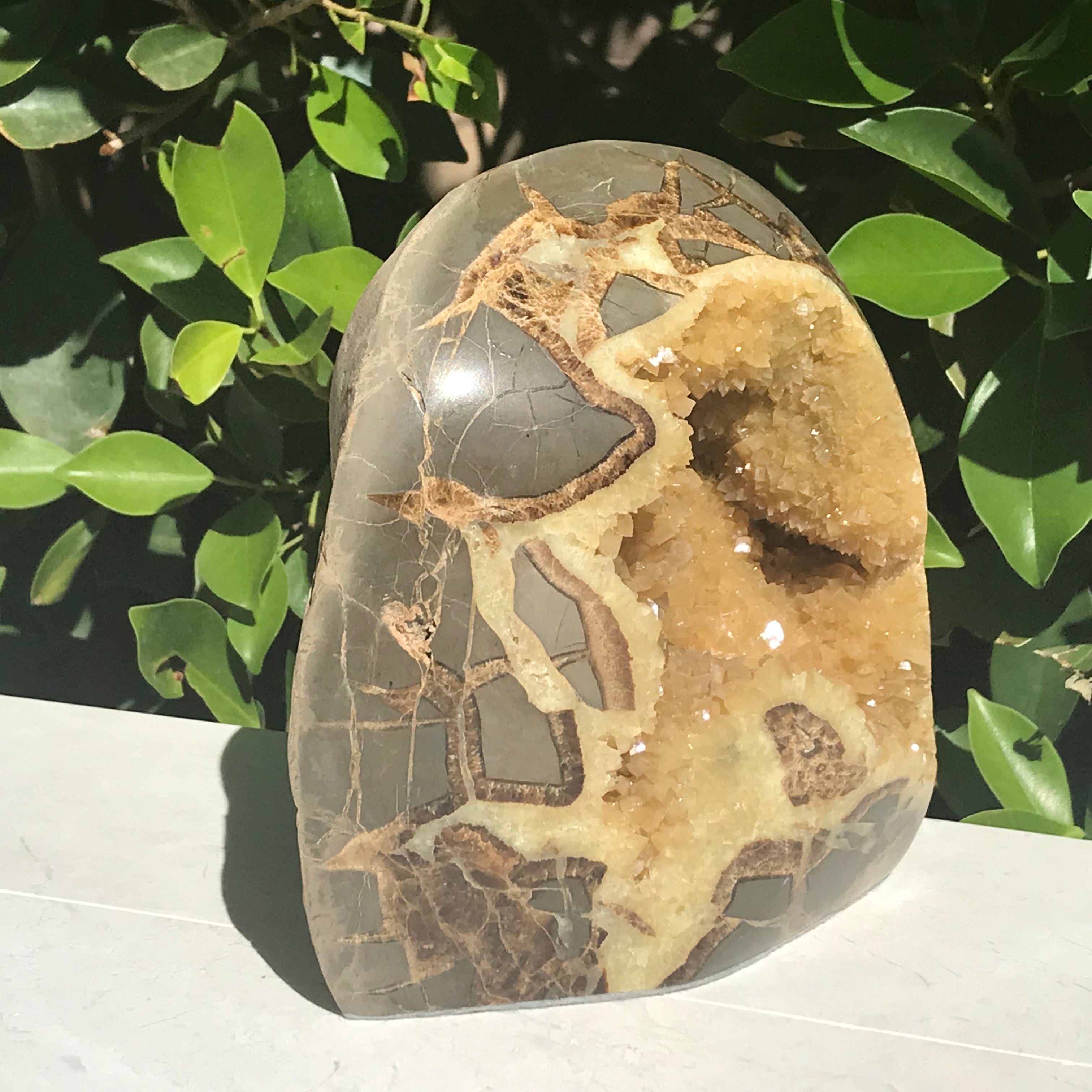 Crystal Filled Septarian Geode