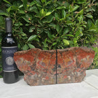 Arizona Rainbow Petrified Wood Bookends