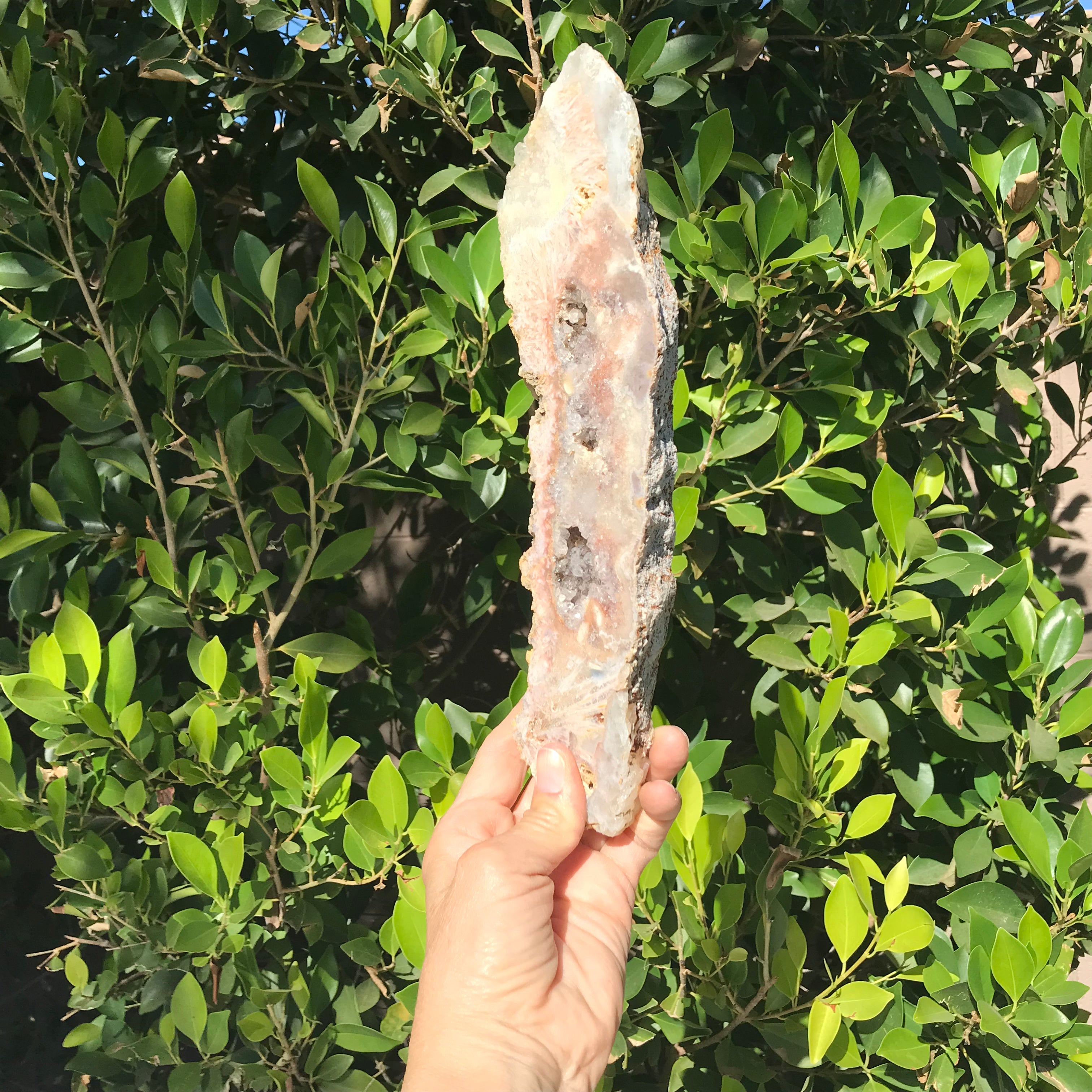 Tall Standing Rose Jasper Slab