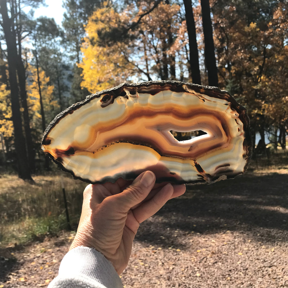 Microcrystalline Quartz and Banded Agate Slice