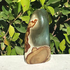 Polychrome Jasper Freeform
