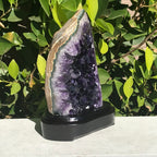 Refined Uruguayan Amethyst Freeform