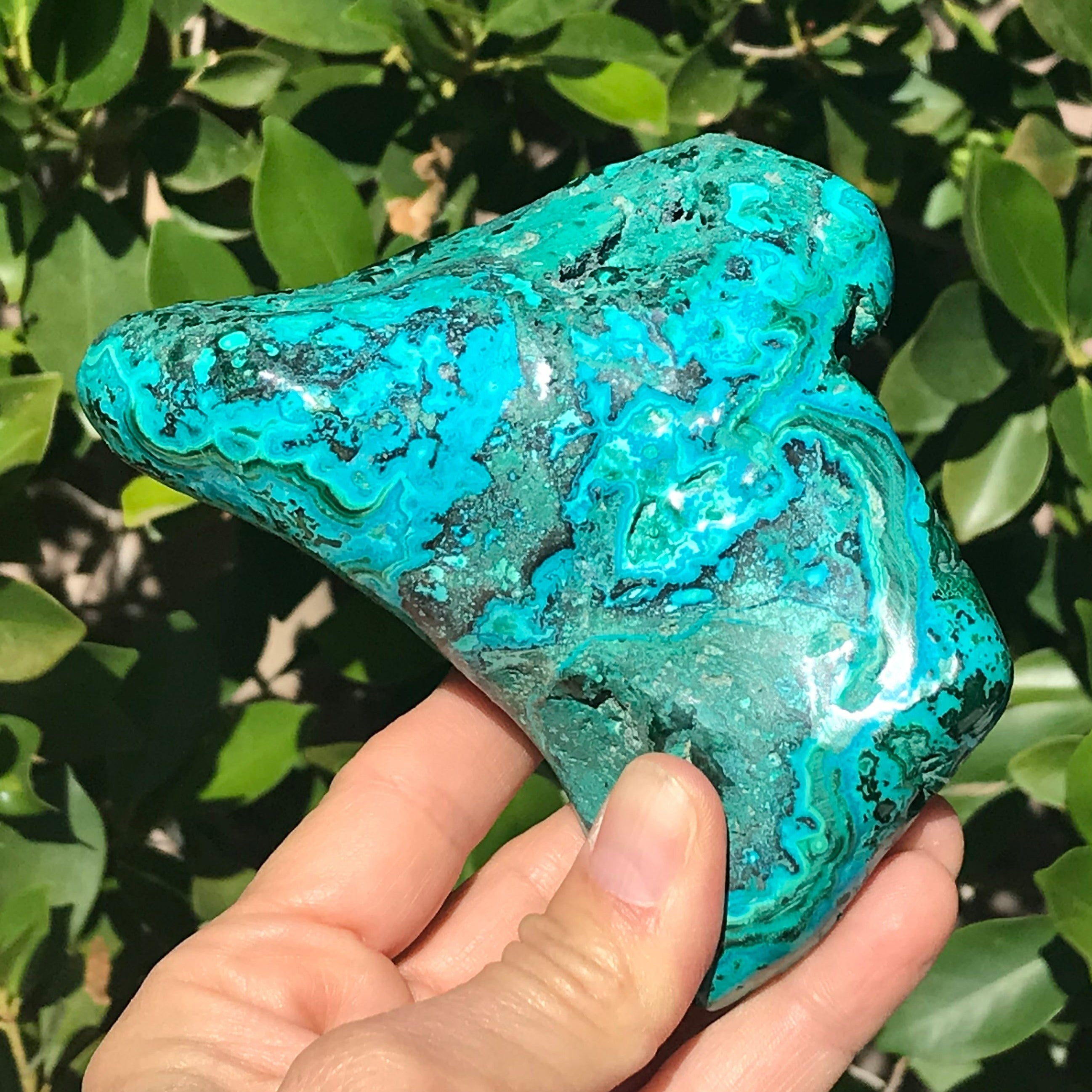 Hues of Turquoise and Green Malachite/Chrysocolla Nodule