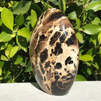 Black Opal Freeform