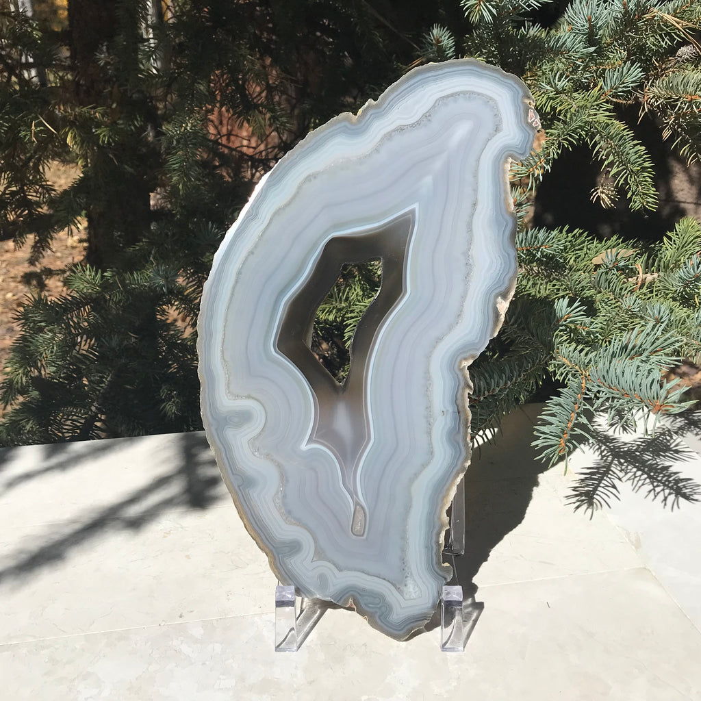Multitude of Delicate Lines Agate Slice
