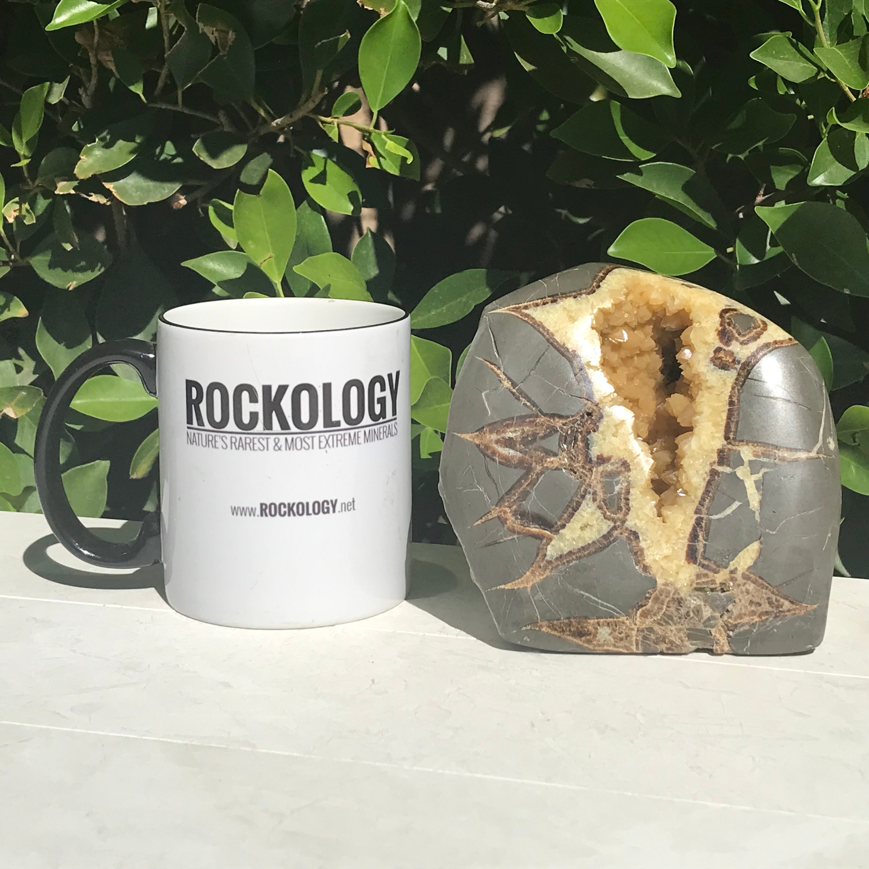 Contemporary  Septarian Nodule