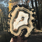 Bold Banded Agate Slice