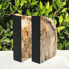 Petrified Maplewood Bookends
