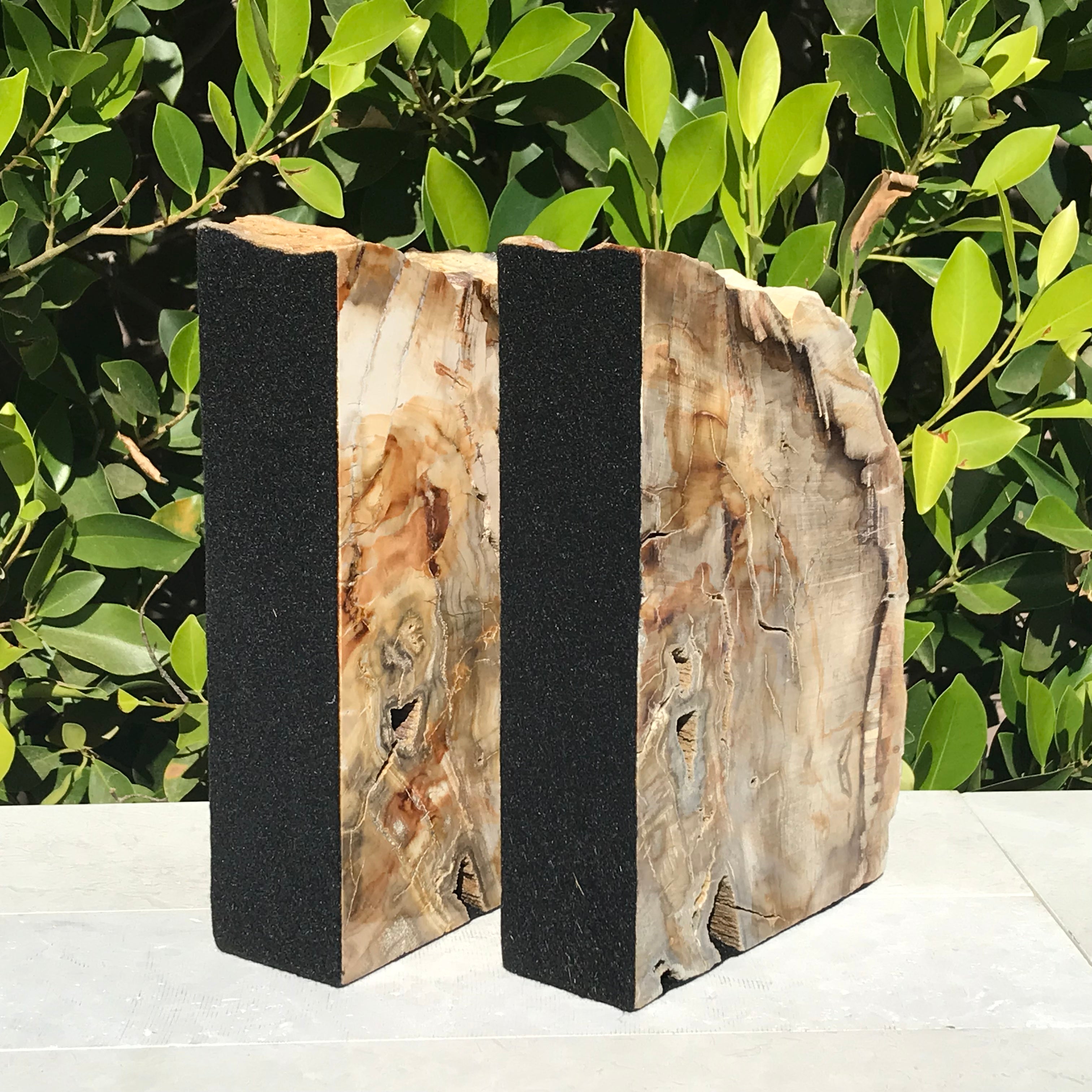 Petrified Maplewood Bookends