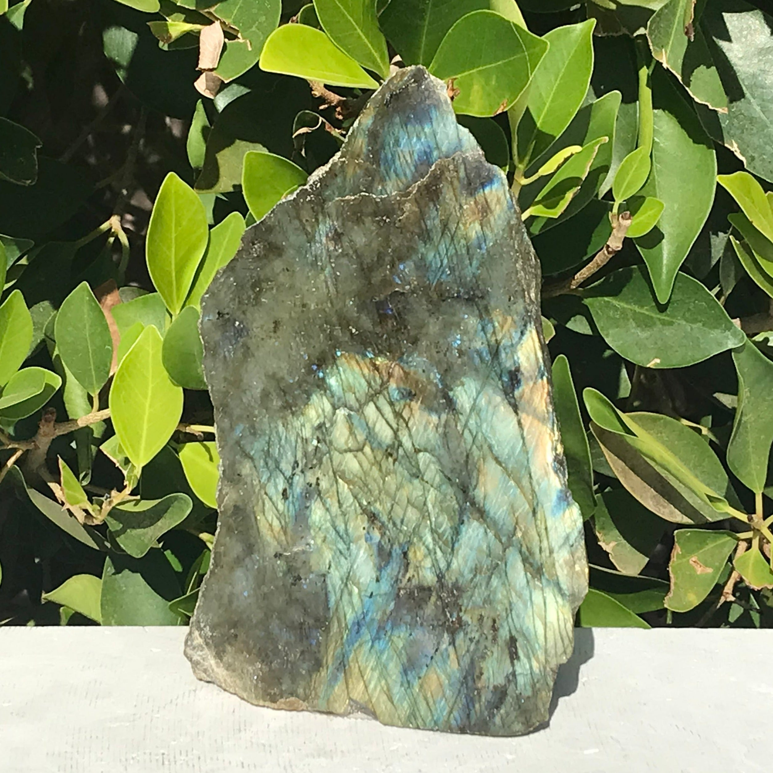 Brilliant Labradorite Freeform