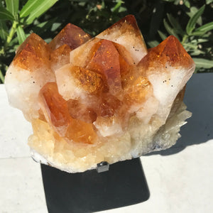 Crystal Topped Citrine