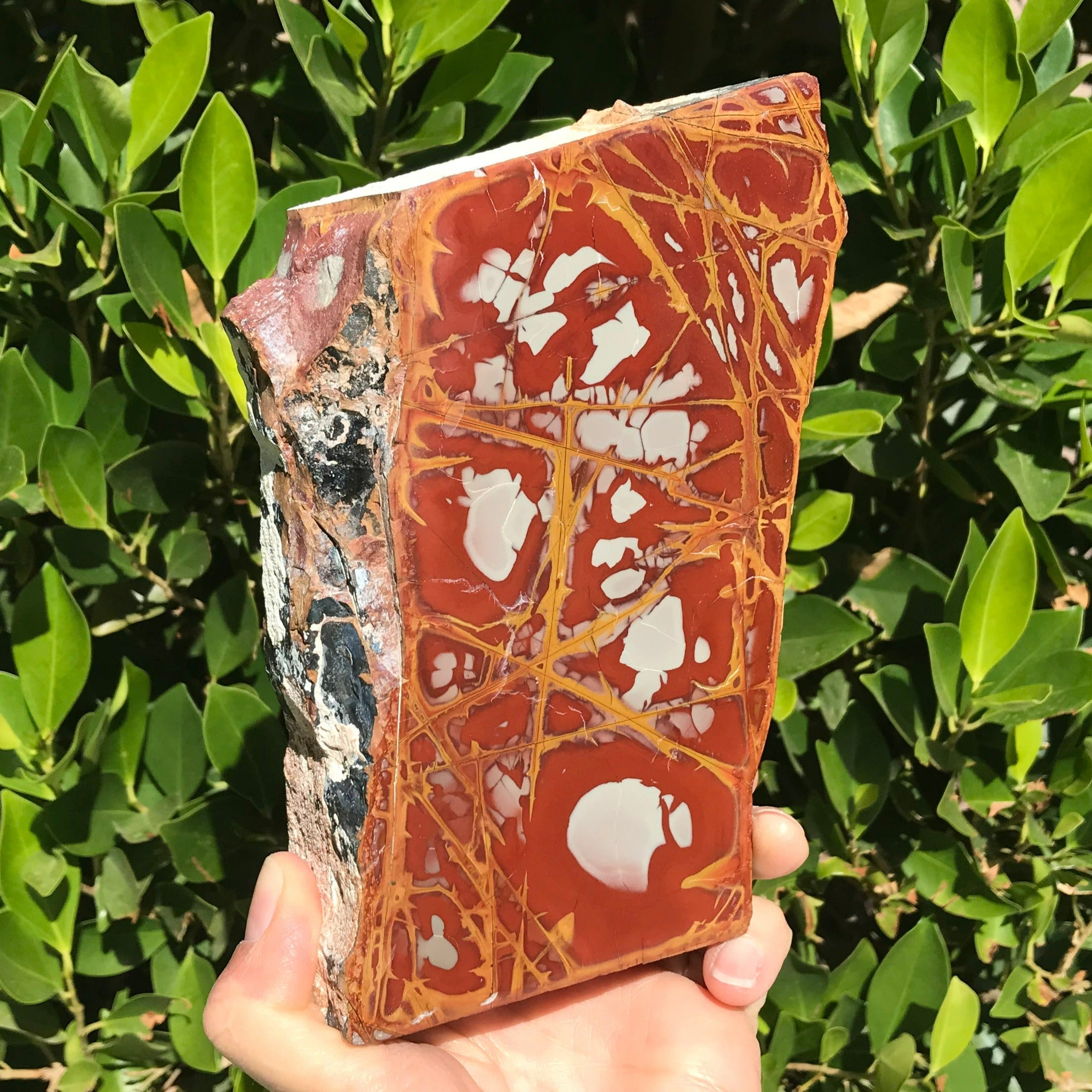 Jasper – Rockology.net
