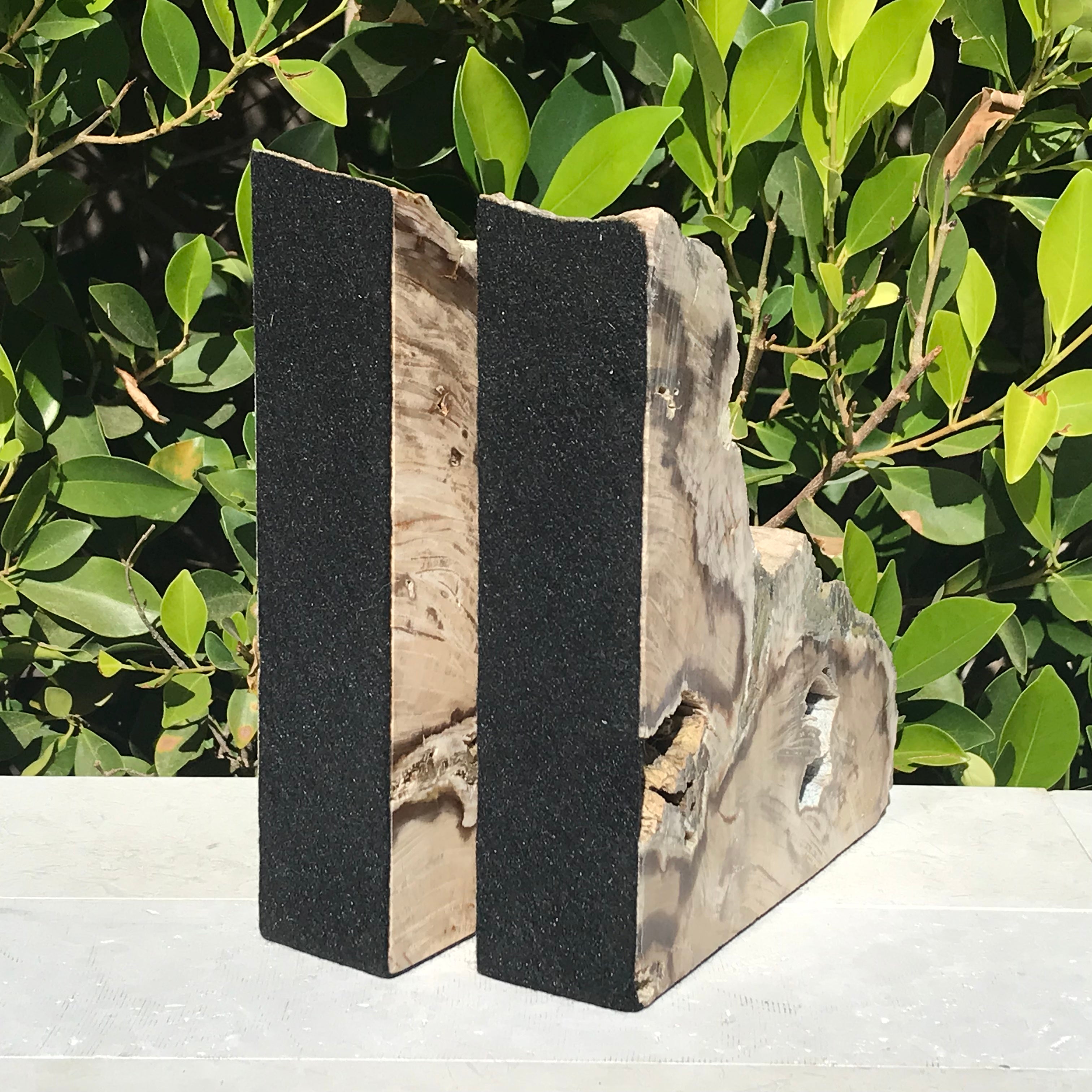 Petrified Cypress Wood Bookends