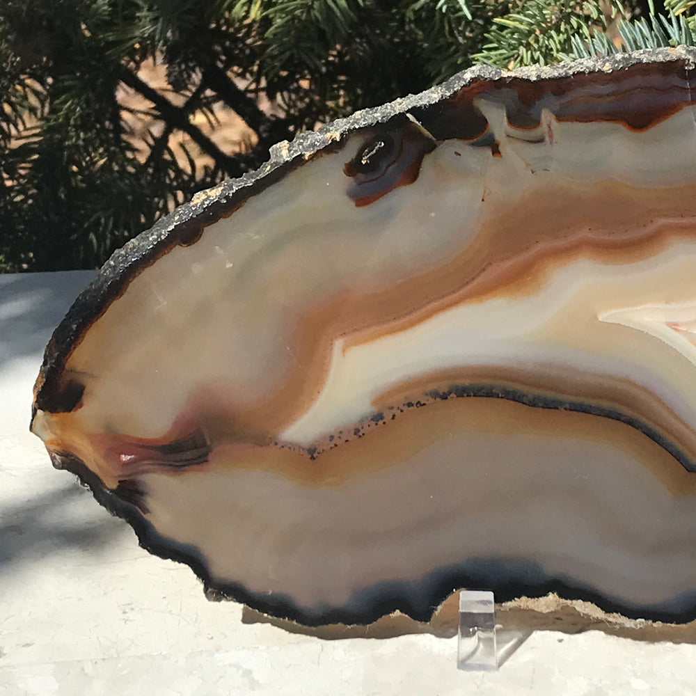 Microcrystalline Quartz and Banded Agate Slice